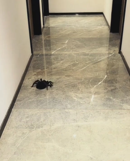 TARANTEX™ — Energia, która rusza z miejsca